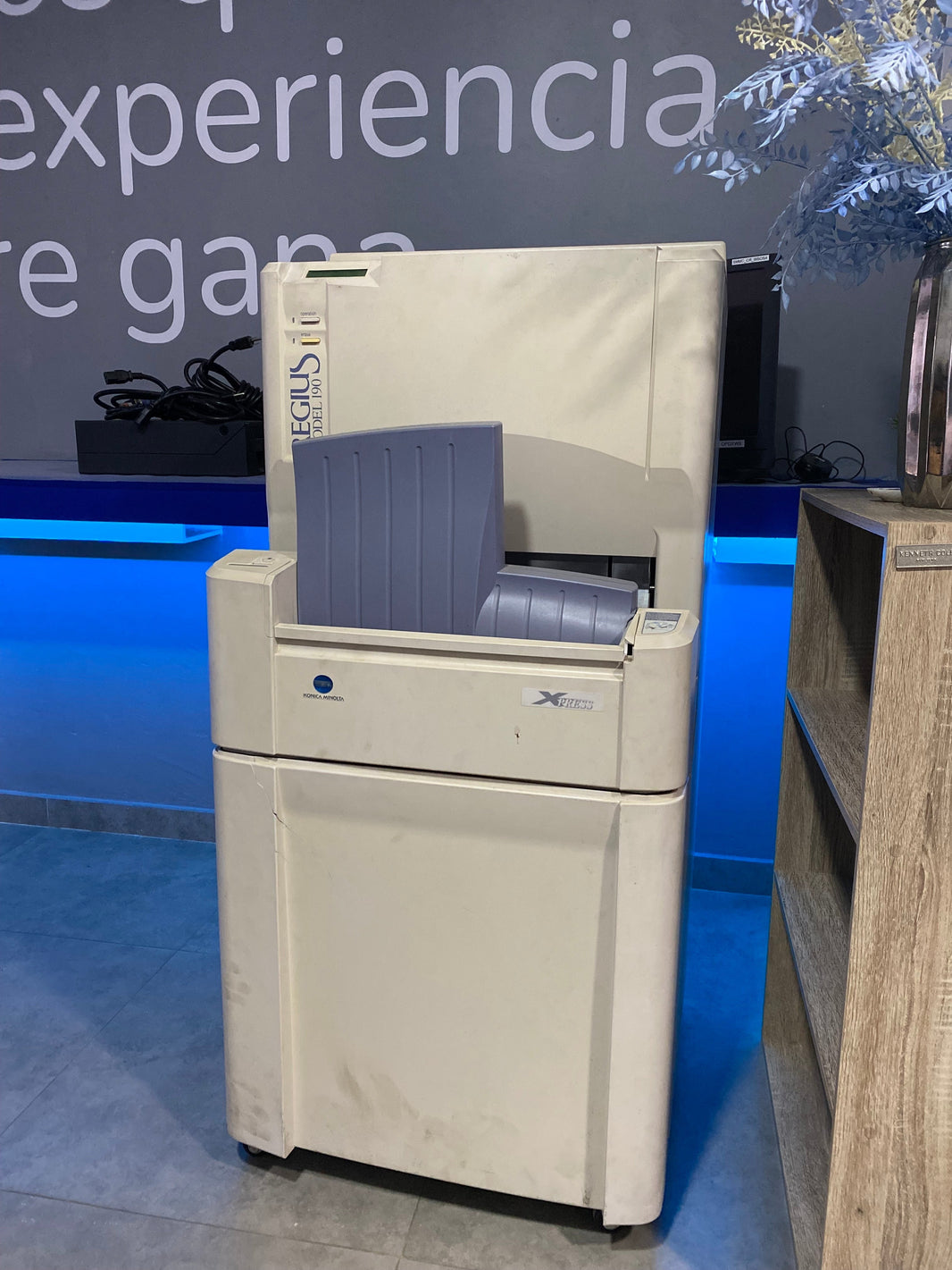 Un caso que demuestra por qué el respaldo importa