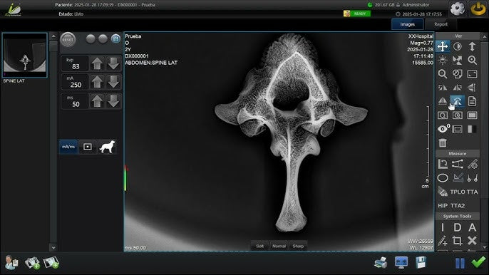 Sofware iRay para Flat Panel